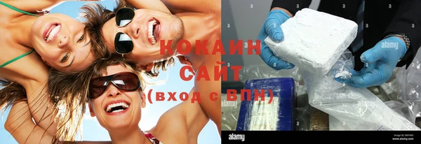 крисы Корсаков