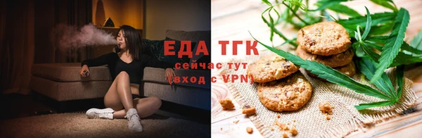 крисы Корсаков