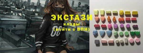 крисы Корсаков