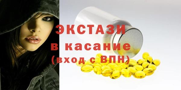 крисы Корсаков