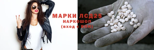 крисы Корсаков