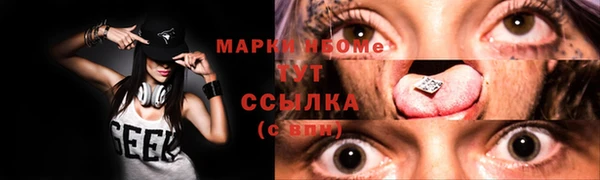 крисы Корсаков