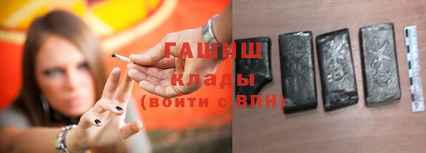 крисы Корсаков