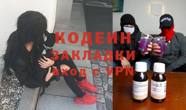 крисы Корсаков