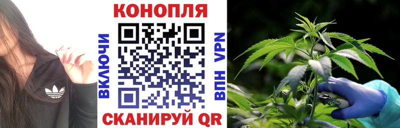 Конопля семена  Купить где  Галич 